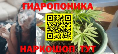 метадон Кингисепп