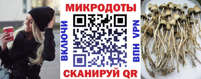 мега сайт  Партизанск  Псилоцибиновые грибы ЛСД  где найти  