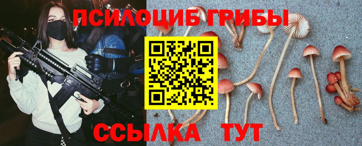 Партизанск  Псилоцибиновые грибы GOLDEN TEACHER  Вход с VPN 