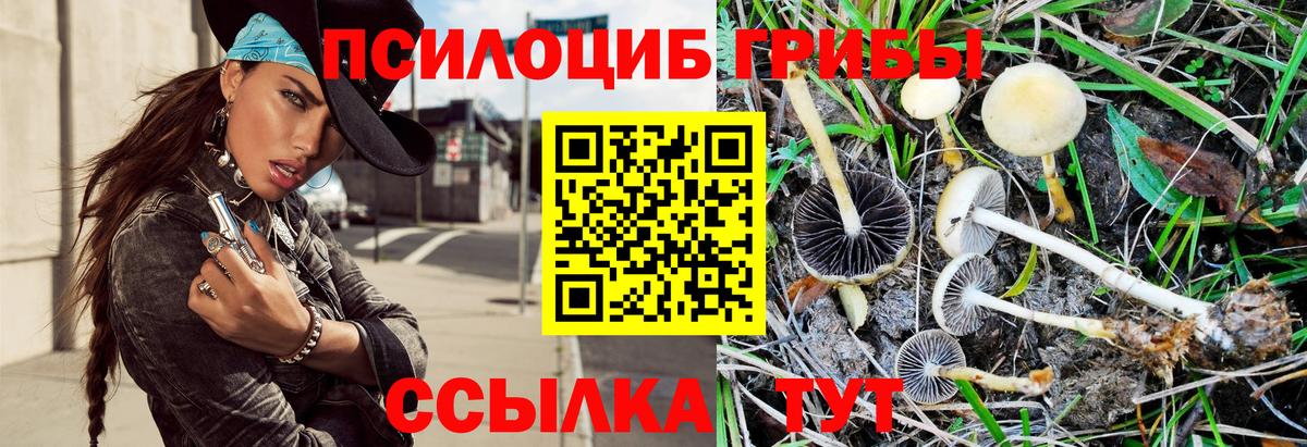 КОКАИН  Канабис  Партизанск  A PVP СК кристаллы  МЕФ кристаллы  МЕТ  ГАШИШ  Вход с VPN 